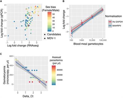 Uptake of Plasmodium falciparum Gametocytes During Mosquito Bloodmeal by Direct and Membrane Feeding